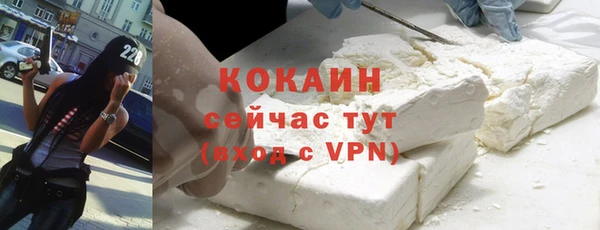 прущие грибы Арсеньев