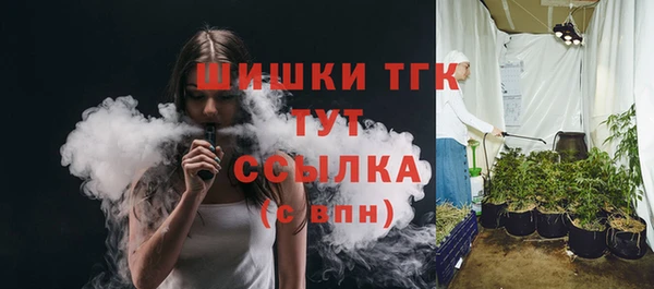 прущие грибы Арсеньев