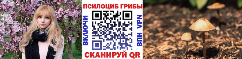 Псилоцибиновые грибы прущие грибы Валдай