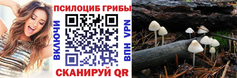 как найти наркотики Валдай hydra ссылка Псилоцибиновые грибы Psilocybine cubensis